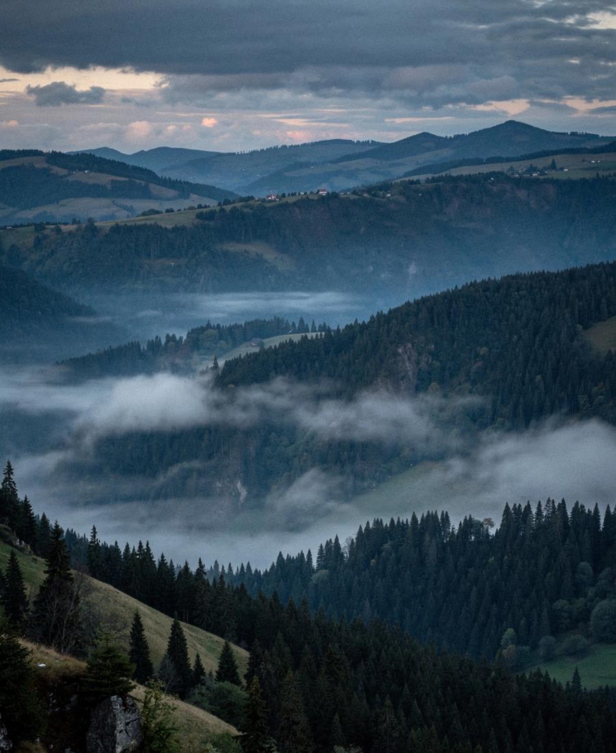 Misty Carpathian landscape at dusk